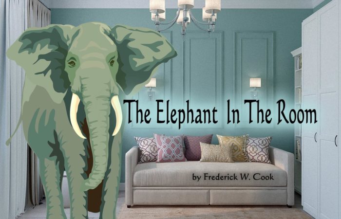 Elephant in the Living Room